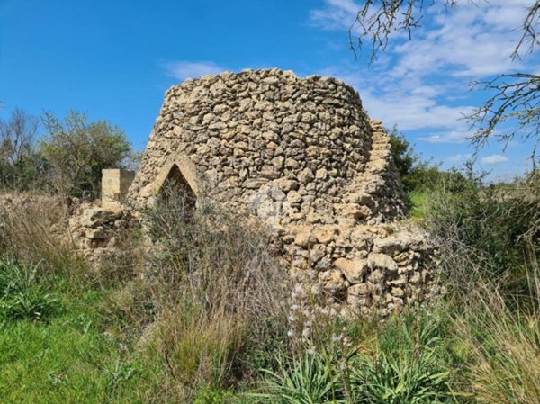 terreno agricolo in vendita a Gallipoli