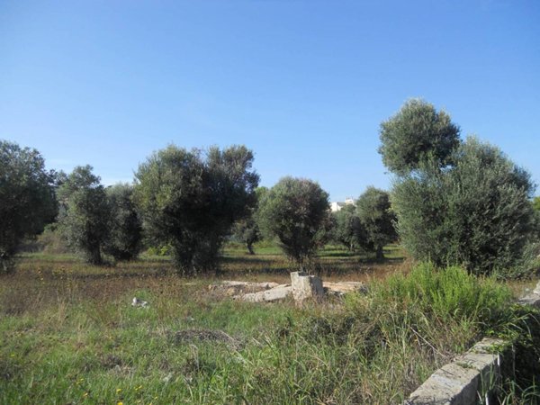terreno agricolo in vendita a Gallipoli