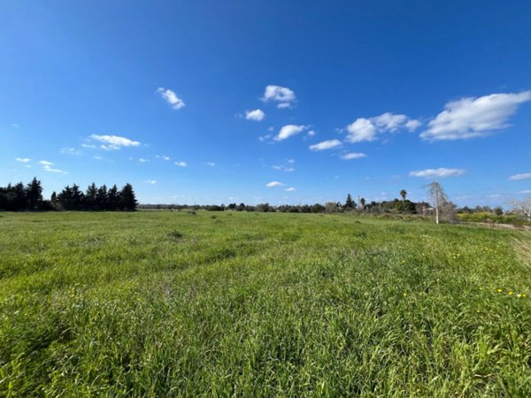 casa indipendente in vendita a Gallipoli