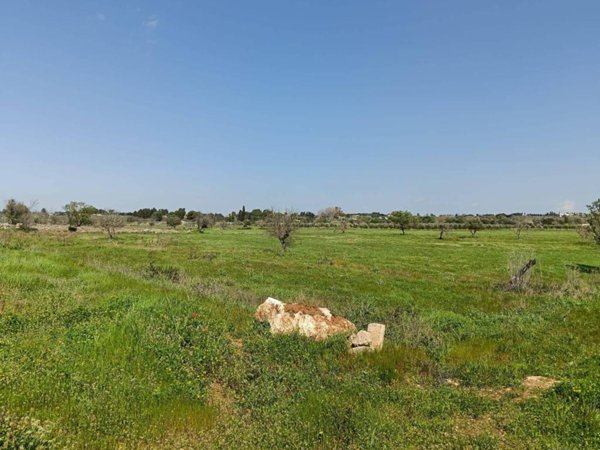 terreno agricolo in vendita a Gallipoli