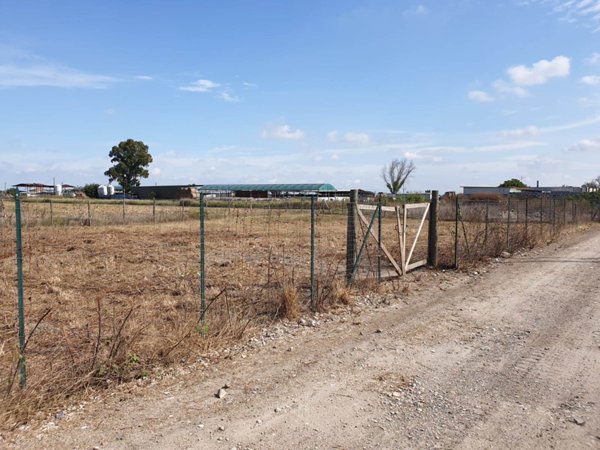 terreno agricolo in vendita a Gallipoli in zona Baia Verde