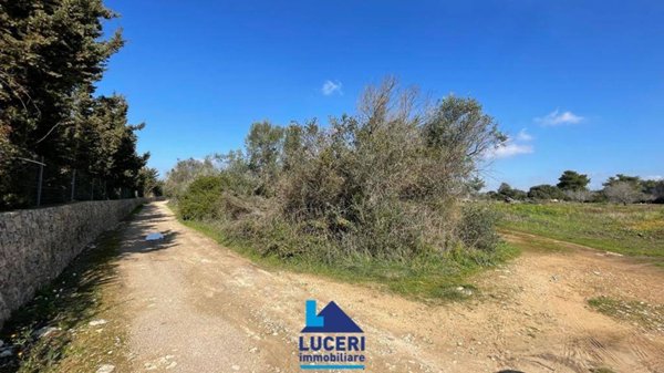 terreno agricolo in vendita a Gallipoli in zona Baia Verde