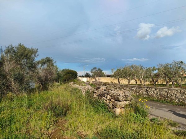 terreno agricolo in vendita a Gallipoli
