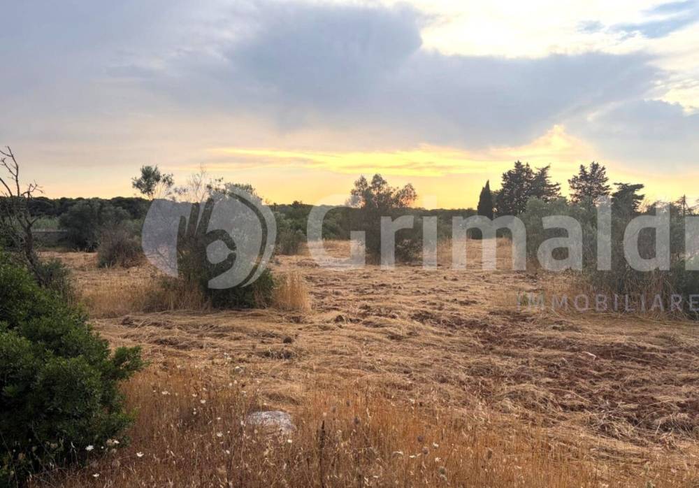 terreno agricolo in vendita a Gallipoli