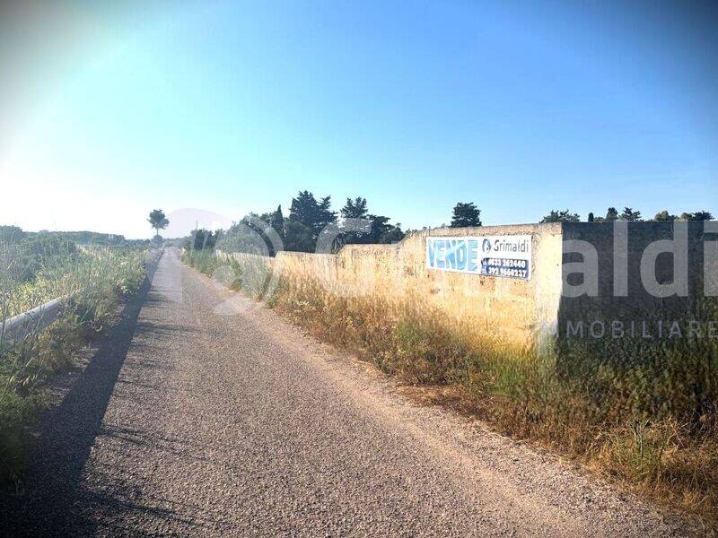 terreno agricolo in vendita a Gallipoli