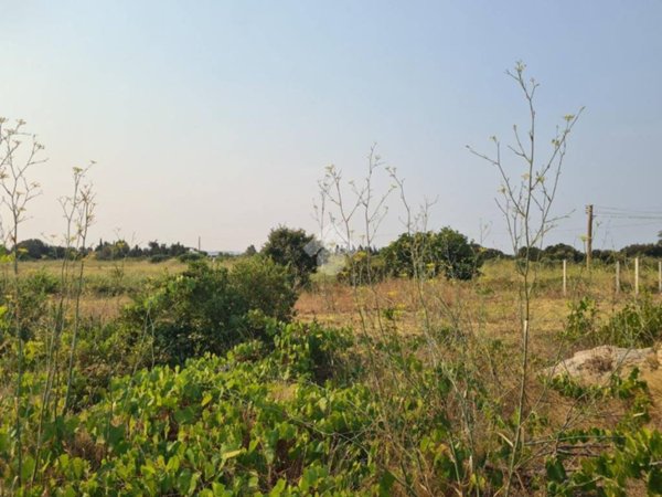 terreno agricolo in vendita a Gallipoli
