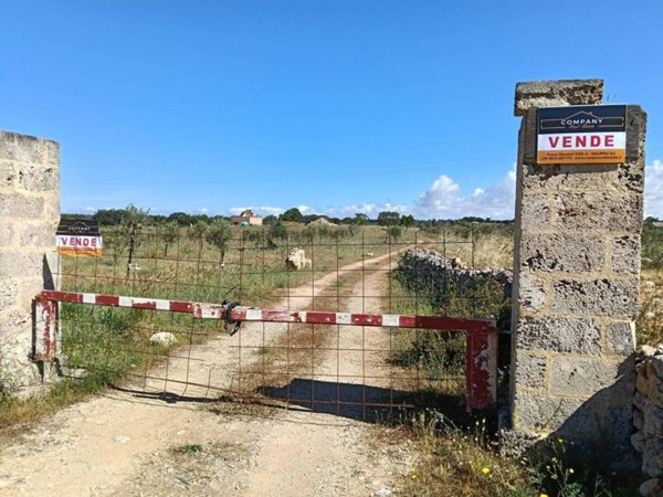 terreno agricolo in vendita a Gallipoli in zona Baia Verde