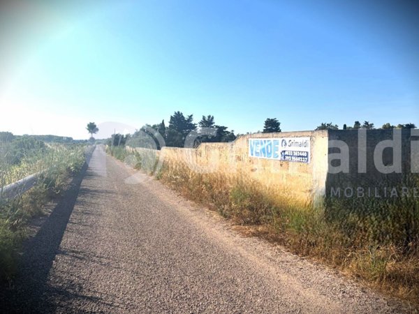 terreno agricolo in vendita a Gallipoli
