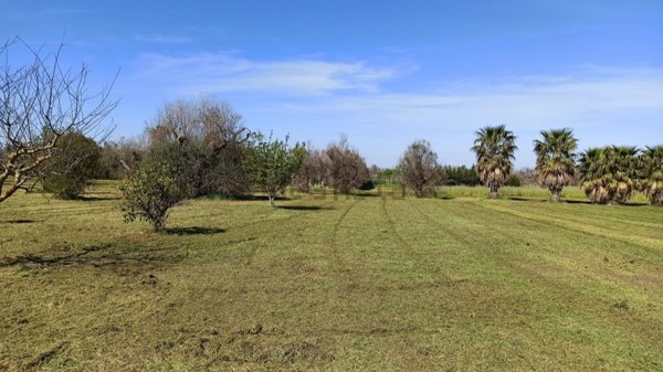 casa indipendente in vendita a Gallipoli