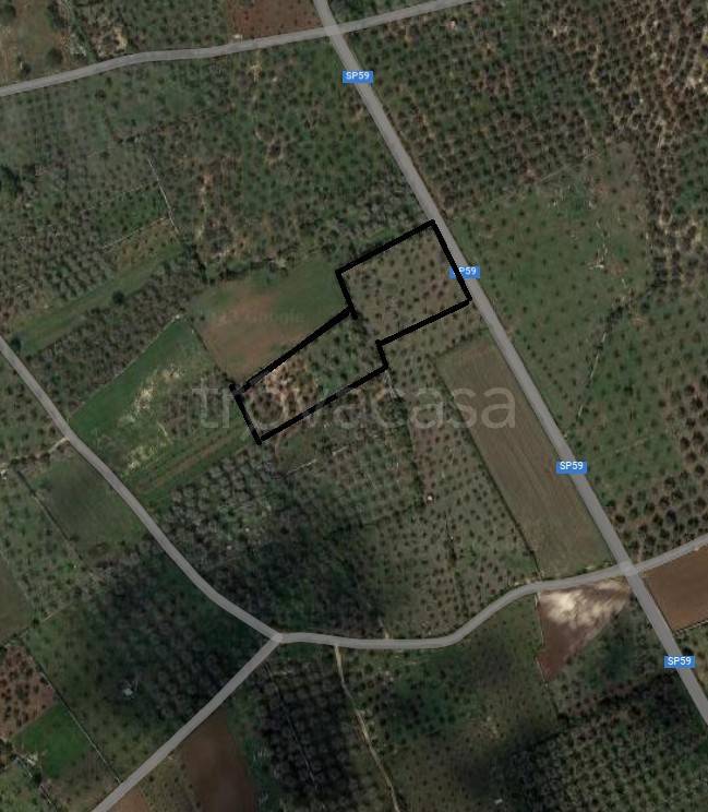 terreno agricolo in vendita a Giuggianello