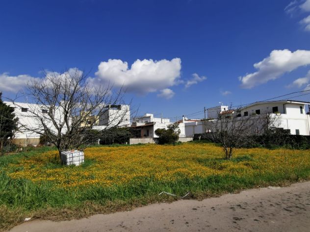 terreno agricolo in vendita a Giuggianello