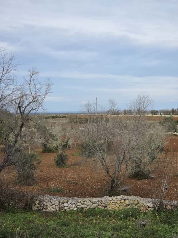 terreno agricolo in vendita a Giuggianello