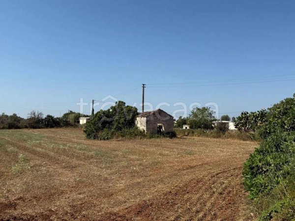 terreno agricolo in vendita a Giuggianello
