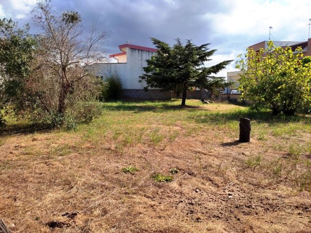 terreno agricolo in vendita a Giurdignano