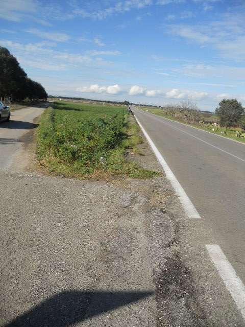 terreno agricolo in vendita a Guagnano