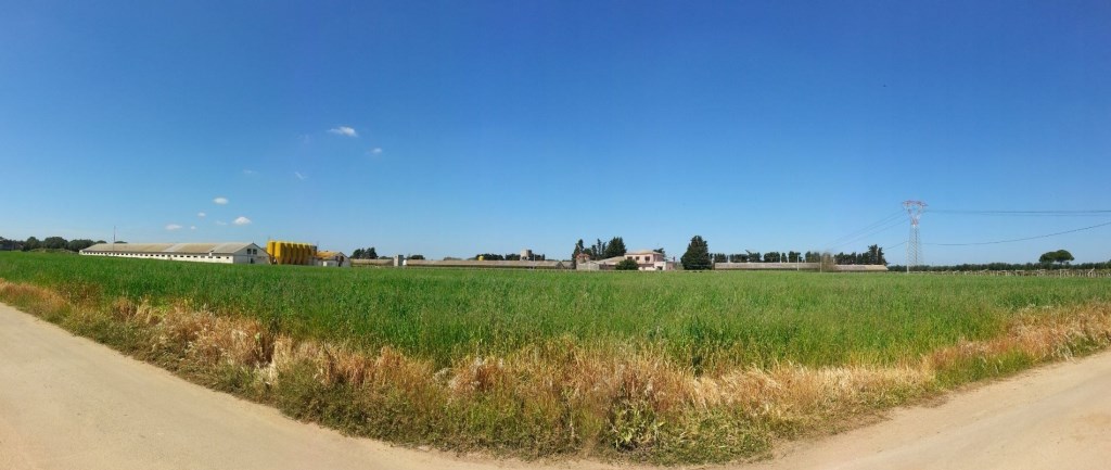 terreno edificabile in vendita a Guagnano