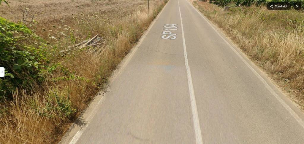 terreno agricolo in vendita a Guagnano