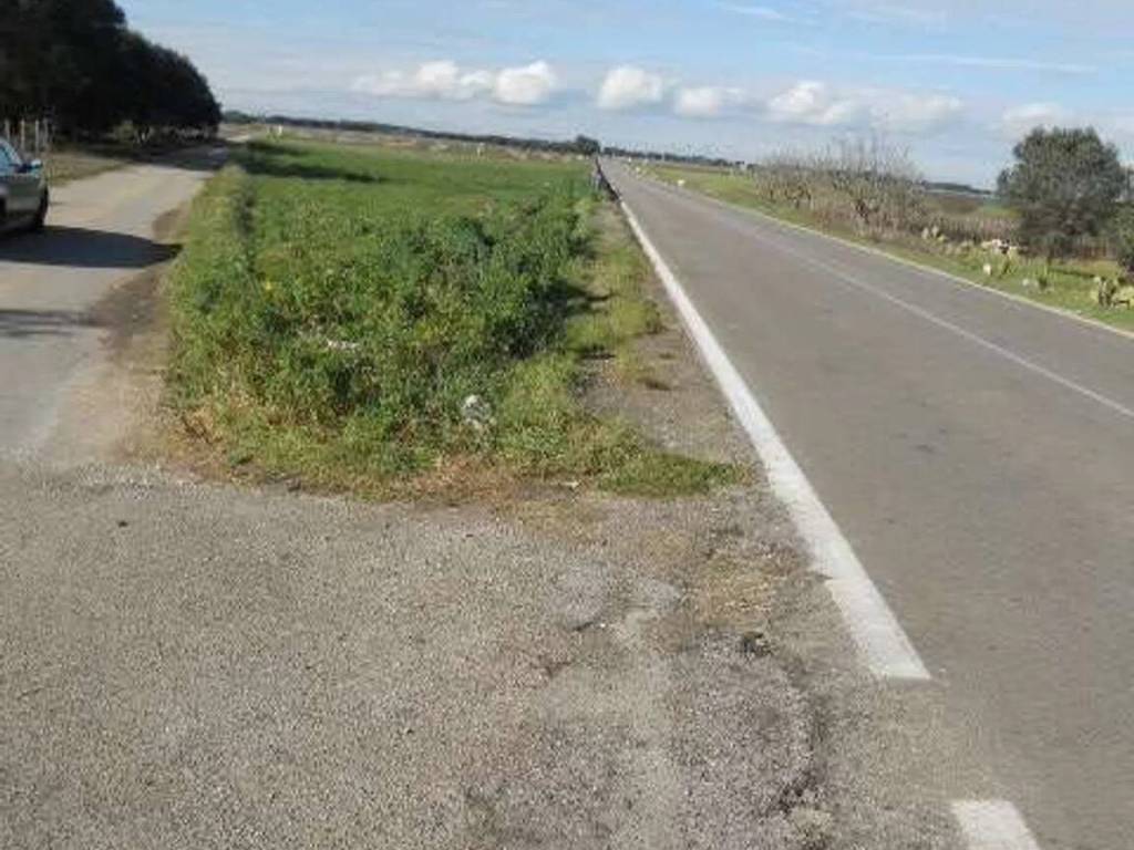 terreno agricolo in vendita a Guagnano