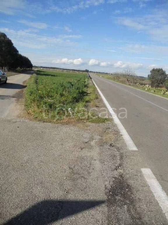 terreno agricolo in vendita a Guagnano
