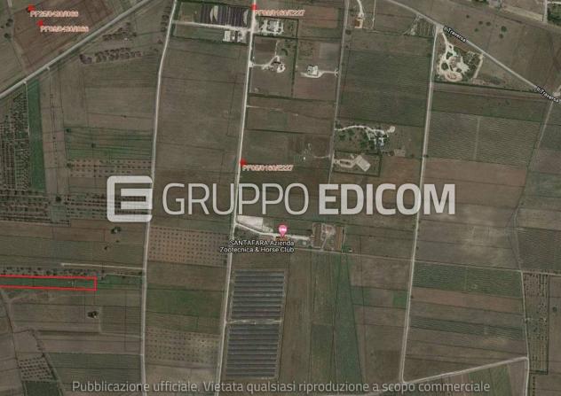 terreno agricolo in vendita a Guagnano