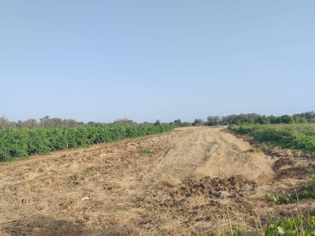 terreno in vendita a Guagnano