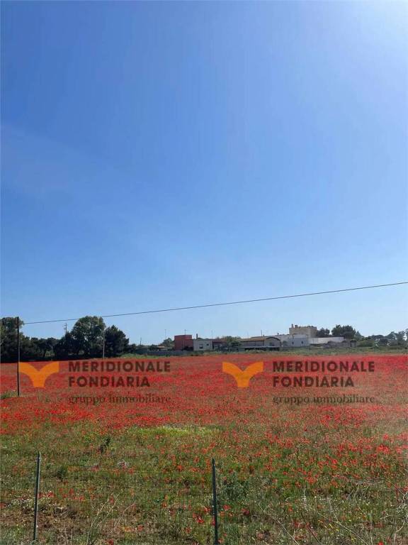 terreno agricolo in vendita a Lecce in zona Torre Chianca