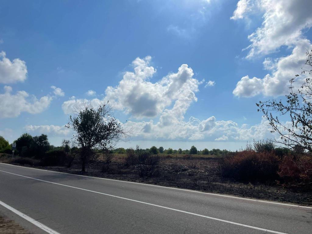 terreno agricolo in vendita a Lecce in zona San Cataldo
