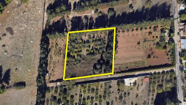 terreno agricolo in vendita a Lecce in zona Santa Rosa