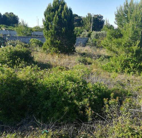 terreno agricolo in vendita a Lecce in zona Torre Chianca