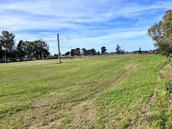 terreno agricolo in vendita a Lecce in zona Frigole