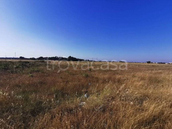 terreno agricolo in vendita a Lecce in zona Rudiae