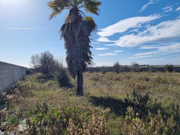terreno agricolo in vendita a Lecce in zona Frigole