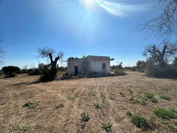 terreno agricolo in vendita a Lecce in zona Torre Chianca
