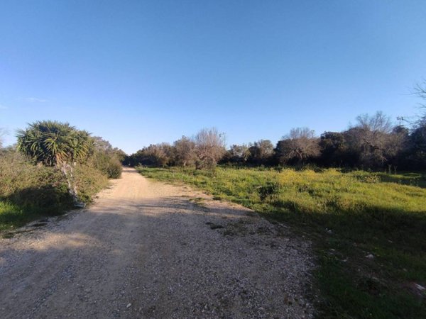 terreno agricolo in vendita a Lecce in zona San Ligorio