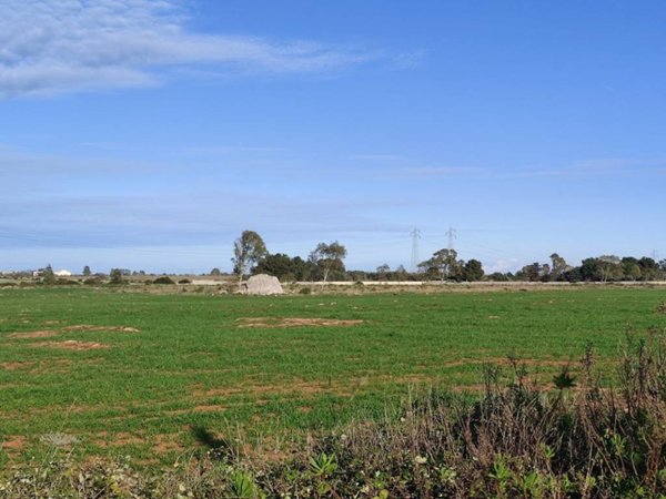 terreno agricolo in vendita a Lecce in zona Frigole