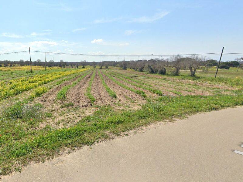terreno agricolo in vendita a Lecce in zona Frigole
