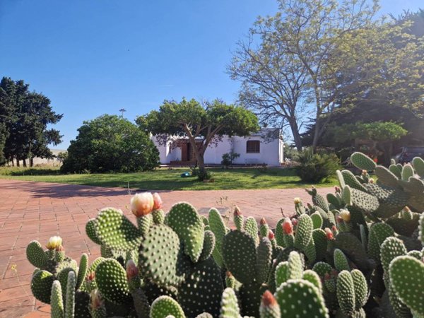 casa indipendente in vendita a Lecce in zona Centro Città