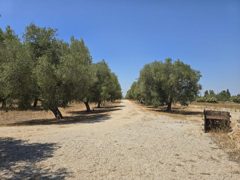 negozio in vendita a Lecce