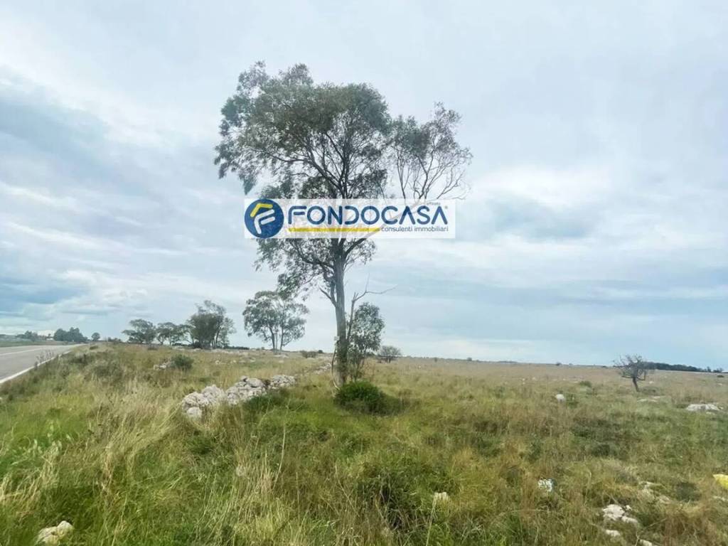 terreno agricolo in vendita a Lecce in zona Partigiani