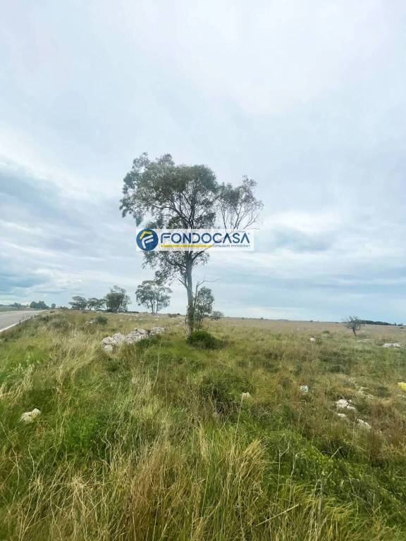 terreno agricolo in vendita a Lecce in zona Partigiani