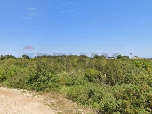terreno agricolo in vendita a Lecce in zona Frigole