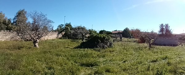 terreno agricolo in vendita a Lecce in zona San Cataldo
