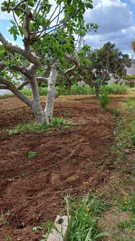 terreno agricolo in vendita a Lecce in zona Villa Convento