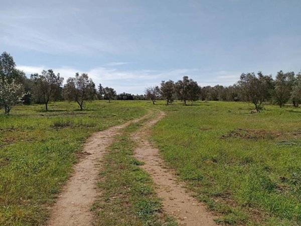 terreno agricolo in vendita a Lecce in zona San Ligorio