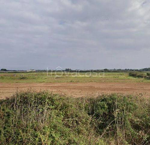 terreno agricolo in vendita a Lecce in zona Frigole