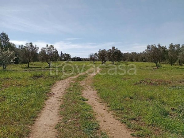 terreno agricolo in vendita a Lecce in zona Borgo Piave