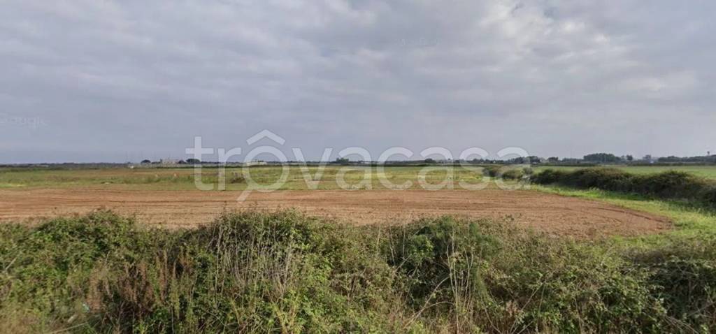 terreno agricolo in vendita a Lecce in zona Frigole