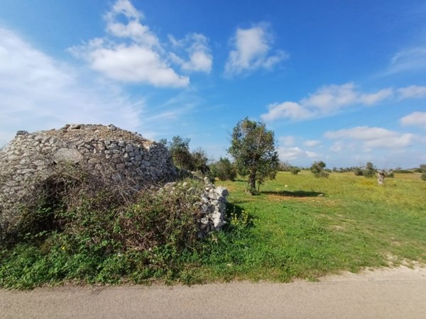 terreno agricolo in vendita a Lecce in zona Frigole