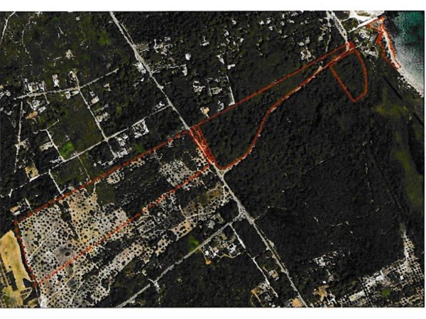 terreno agricolo in vendita a Lecce in zona San Cataldo