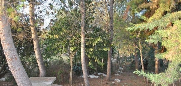 casa indipendente in vendita a Lecce in zona Frigole